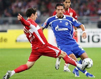 的战术适应 的战术适应